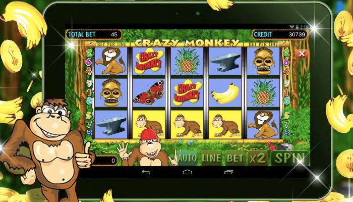 Wacky Monkey online magyar nyerőgépek